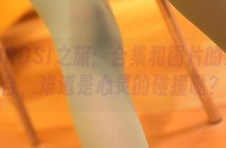 天台的ROSI之旅：合集和图片的无缝结合，难道是心灵的碰撞哒？