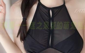 自撮写真猫——迷之呆梨的萌宠私拍合集