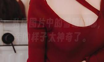 内心OS：私房图片中的雪晴嘟嘟，穿上套装的样子太神奇了。